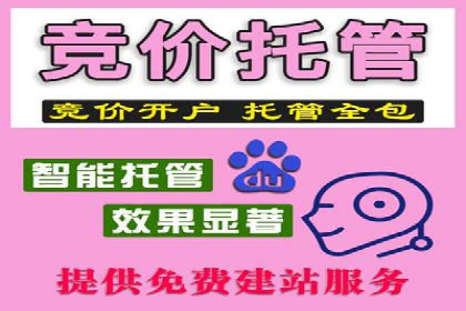 视频教程：通过SEM推广实现快速引流